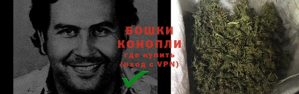 мяу мяу кристалл Покачи