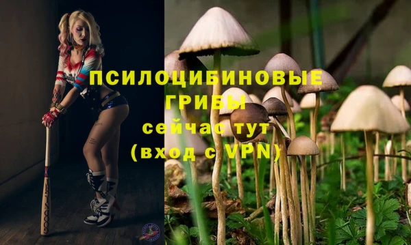 мяу мяу кристалл Покачи