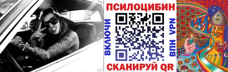 Псилоцибиновые грибы Psilocybe  Купить где  Камень-на-Оби 